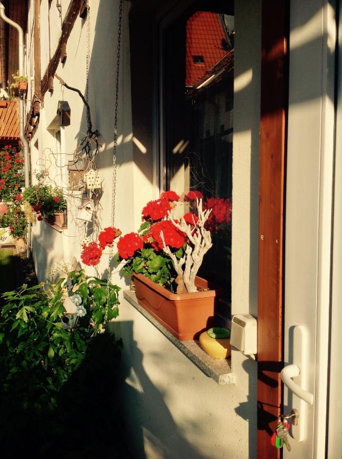 Am Mathildenbrunnen Klein Apartment Кведлинбург Екстериор снимка