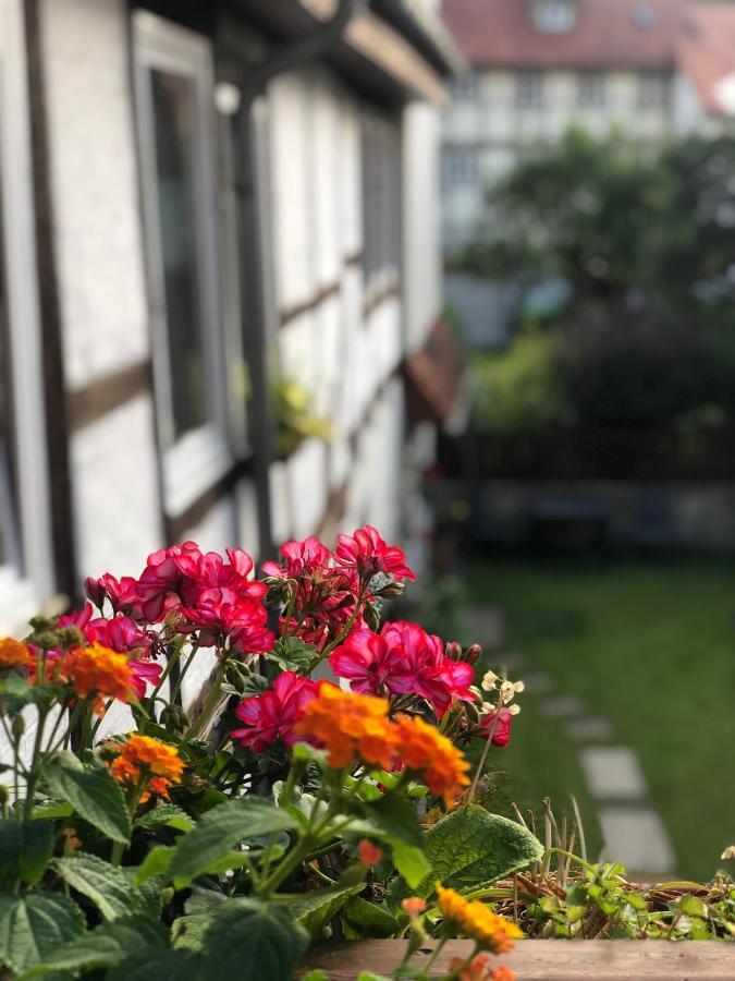 Am Mathildenbrunnen Klein Apartment Кведлинбург Екстериор снимка